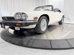 1989 Jaguar XJ (CC-2071517) for sale in Hilton, New York