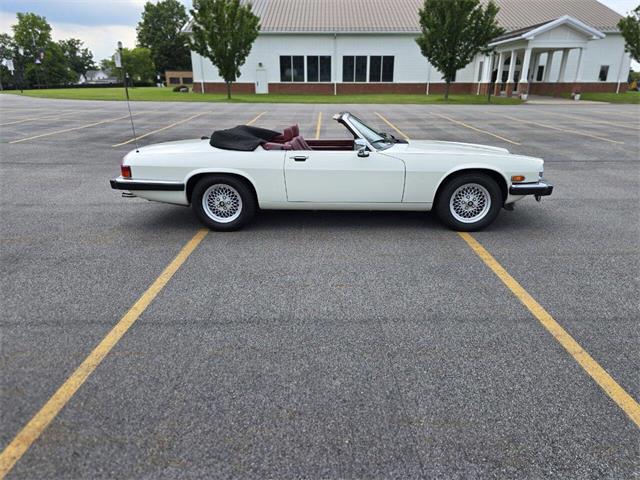 1989 Jaguar XJ (CC-2071517) for sale in Hilton, New York