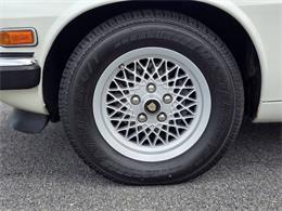 1989 Jaguar XJ (CC-2071517) for sale in Hilton, New York