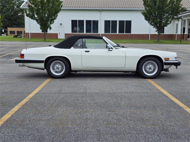 1989 Jaguar XJ (CC-2071517) for sale in Hilton, New York