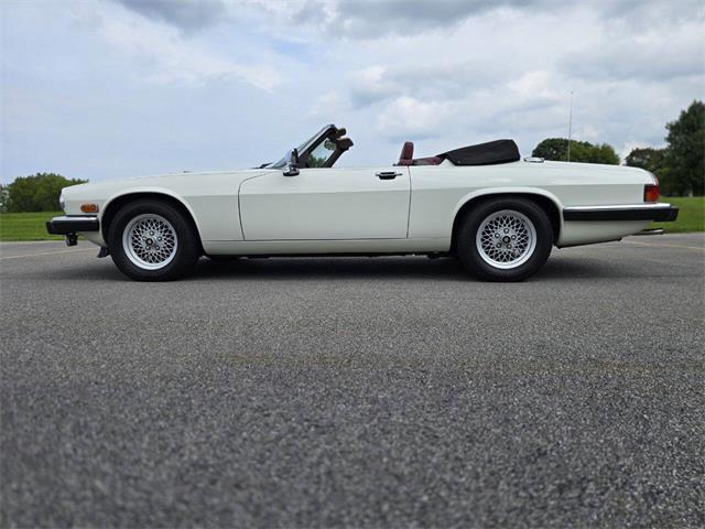 1989 Jaguar XJ (CC-2071517) for sale in Hilton, New York