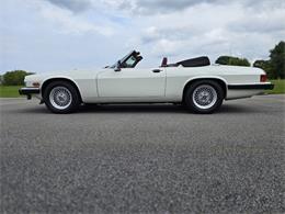 1989 Jaguar XJ (CC-2071517) for sale in Hilton, New York
