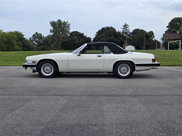 1989 Jaguar XJ (CC-2071517) for sale in Hilton, New York
