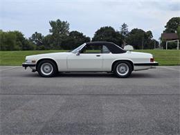 1989 Jaguar XJ (CC-2071517) for sale in Hilton, New York