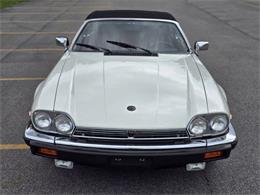 1989 Jaguar XJ (CC-2071517) for sale in Hilton, New York