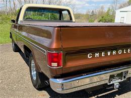 1978 Chevrolet C10 (CC-2071524) for sale in Salem, Ohio