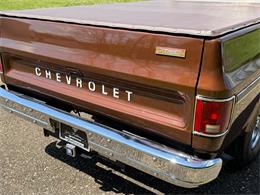 1978 Chevrolet C10 (CC-2071524) for sale in Salem, Ohio