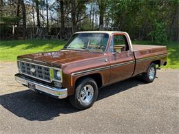 1978 Chevrolet C10 (CC-2071524) for sale in Salem, Ohio