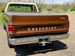 1978 Chevrolet C10 (CC-2071524) for sale in Salem, Ohio