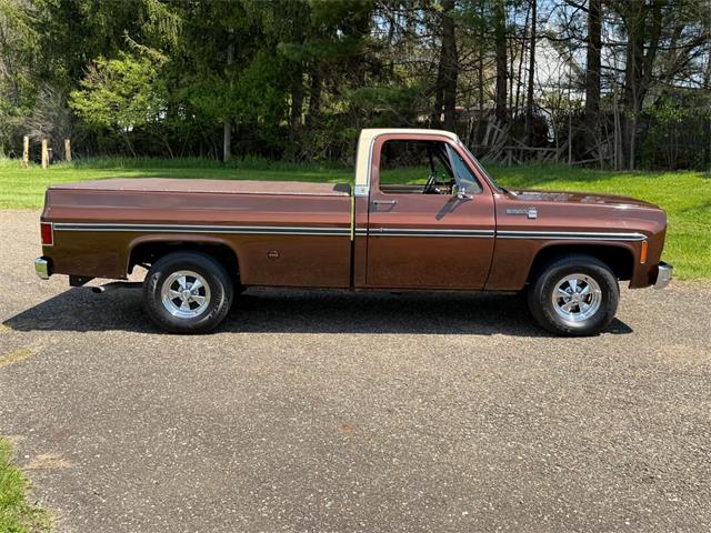 1978 Chevrolet C10 (CC-2071524) for sale in Salem, Ohio