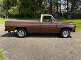 1978 Chevrolet C10 (CC-2071524) for sale in Salem, Ohio