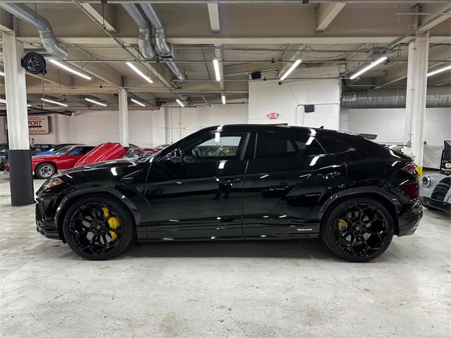 2023 Lamborghini Urus (CC-2071528) for sale in Huntington Station, New York