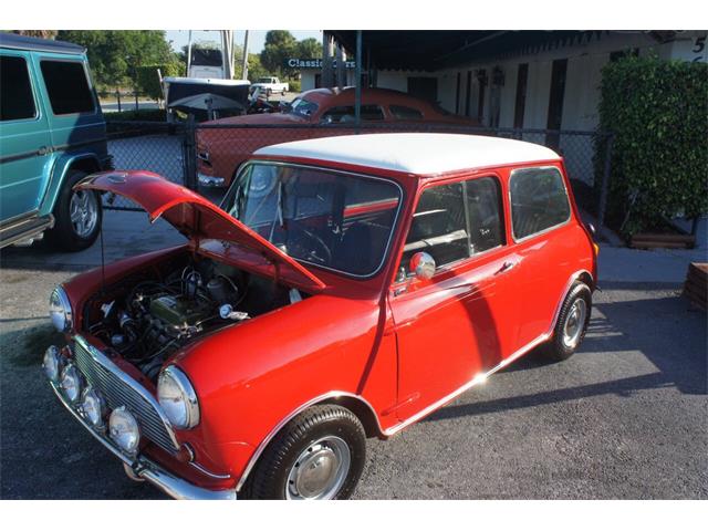1963 Austin Mini Cooper (CC-2071555) for sale in Lantana, Florida