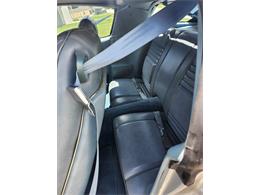 1979 Pontiac Firebird Trans Am (CC-2071590) for sale in PRINCETON, Indiana