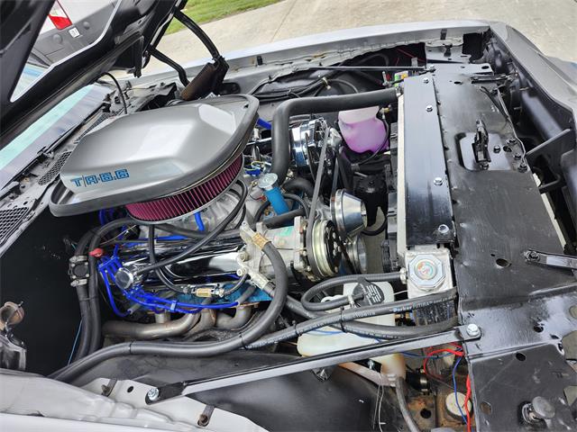 1979 Pontiac Firebird Trans Am (CC-2071590) for sale in PRINCETON, Indiana