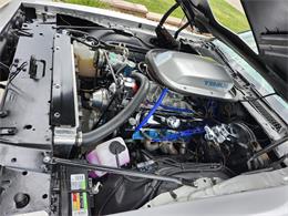 1979 Pontiac Firebird Trans Am (CC-2071590) for sale in PRINCETON, Indiana