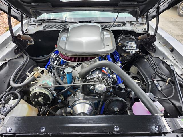 1979 Pontiac Firebird Trans Am (CC-2071590) for sale in PRINCETON, Indiana