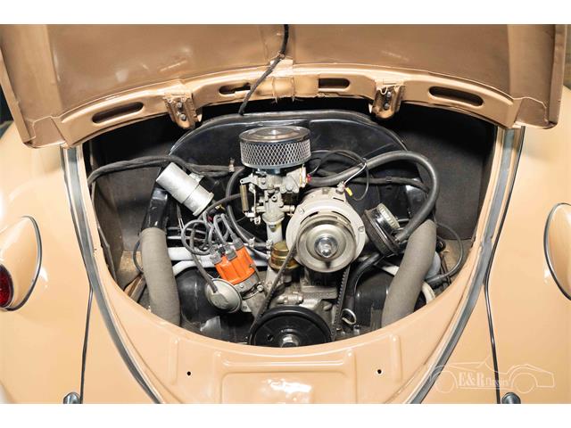 1957 Volkswagen Beetle (CC-2071607) for sale in Waalwijk, Noord Brabant