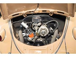 1957 Volkswagen Beetle (CC-2071607) for sale in Waalwijk, Noord Brabant