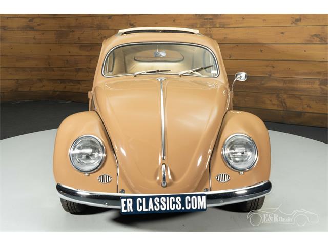 1957 Volkswagen Beetle (CC-2071607) for sale in Waalwijk, Noord Brabant