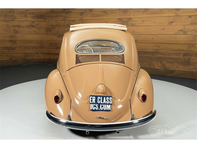 1957 Volkswagen Beetle (CC-2071607) for sale in Waalwijk, Noord Brabant