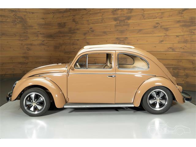 1957 Volkswagen Beetle (CC-2071607) for sale in Waalwijk, Noord Brabant