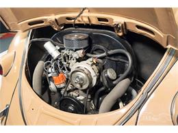 1957 Volkswagen Beetle (CC-2071607) for sale in Waalwijk, Noord Brabant