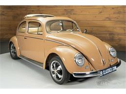 1957 Volkswagen Beetle (CC-2071607) for sale in Waalwijk, Noord Brabant