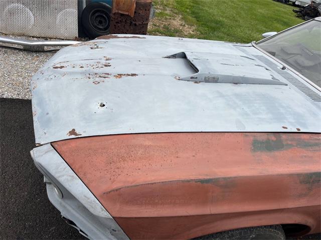 1969 Ford Mustang (CC-2071642) for sale in Knightstown, Indiana