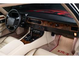 1993 Jaguar XJR-S (CC-2071669) for sale in St. Louis, Missouri