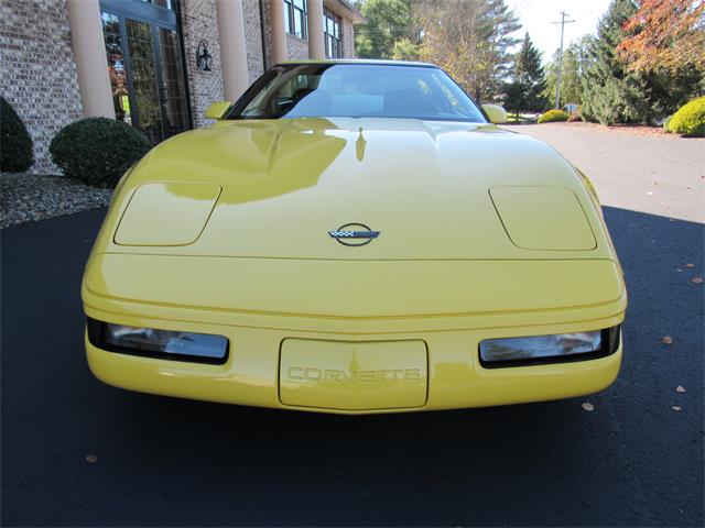1991 Chevrolet Corvette (CC-2070171) for sale in Mill Hall, Pennsylvania