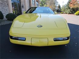 1991 Chevrolet Corvette (CC-2070171) for sale in Mill Hall, Pennsylvania