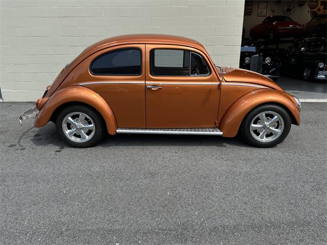 1963 Volkswagen Beetle (CC-2071769) for sale in Hingham, Massachusetts