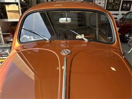 1963 Volkswagen Beetle (CC-2071769) for sale in Hingham, Massachusetts