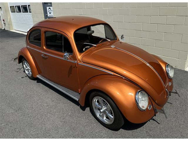 1963 Volkswagen Beetle (CC-2071769) for sale in Hingham, Massachusetts