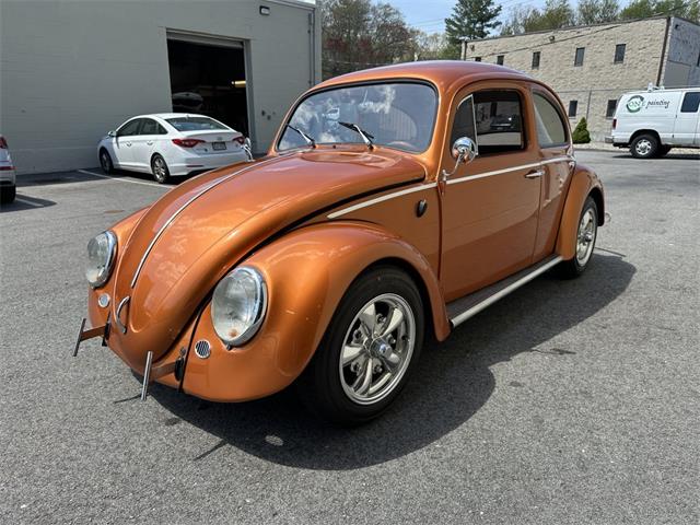 1963 Volkswagen Beetle (CC-2071769) for sale in Hingham, Massachusetts