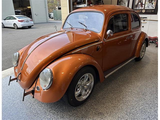 1963 Volkswagen Beetle (CC-2071769) for sale in Hingham, Massachusetts
