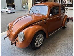 1963 Volkswagen Beetle (CC-2071769) for sale in Hingham, Massachusetts