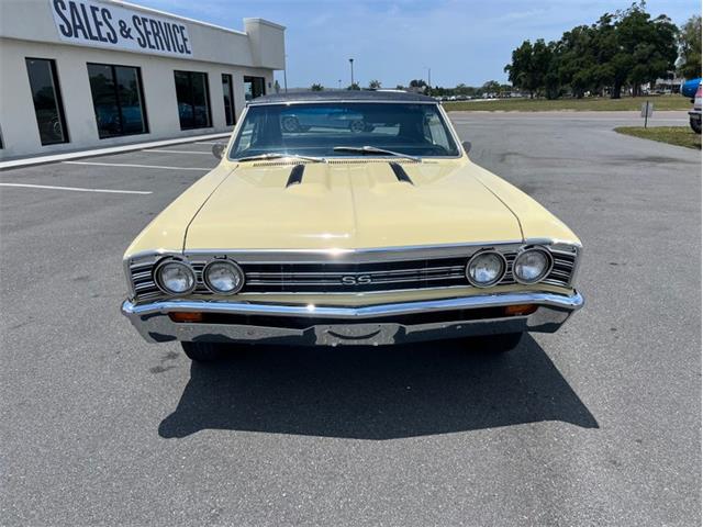 1967 Chevrolet Chevelle (CC-2071820) for sale in Largo, Florida