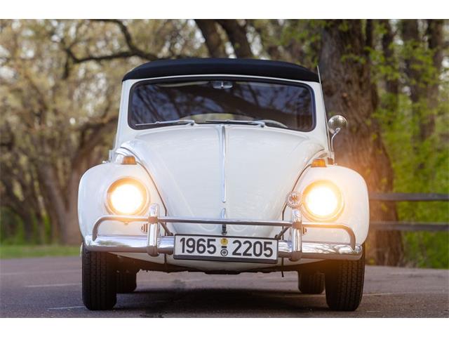 1965 Volkswagen Beetle (CC-2071824) for sale in Sioux Falls, South Dakota