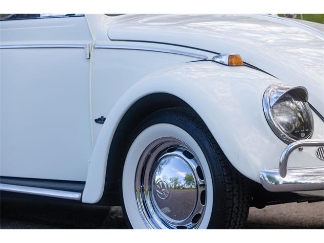 1965 Volkswagen Beetle (CC-2071824) for sale in Sioux Falls, South Dakota