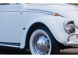 1965 Volkswagen Beetle (CC-2071824) for sale in Sioux Falls, South Dakota
