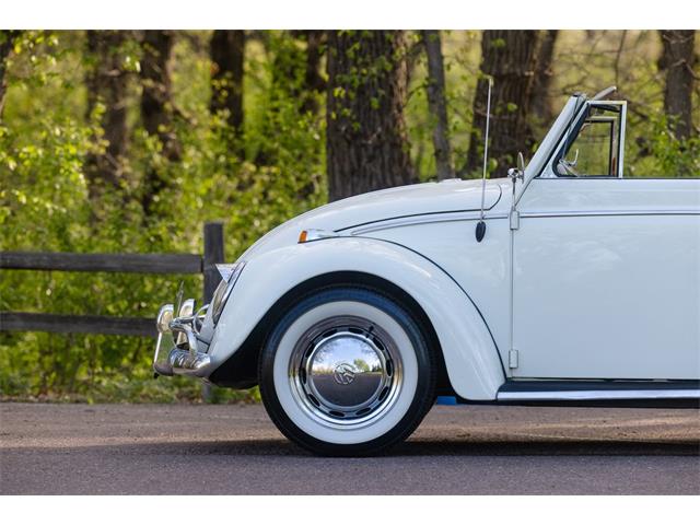 1965 Volkswagen Beetle (CC-2071824) for sale in Sioux Falls, South Dakota