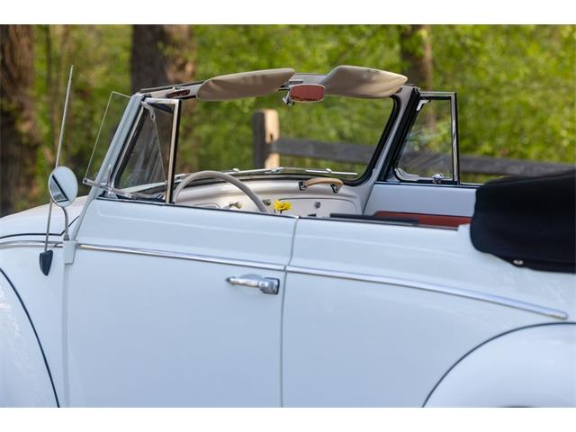 1965 Volkswagen Beetle (CC-2071824) for sale in Sioux Falls, South Dakota