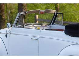 1965 Volkswagen Beetle (CC-2071824) for sale in Sioux Falls, South Dakota
