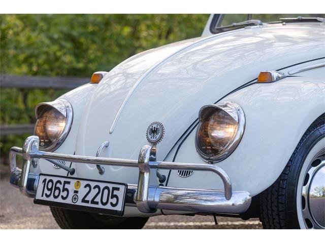 1965 Volkswagen Beetle (CC-2071824) for sale in Sioux Falls, South Dakota