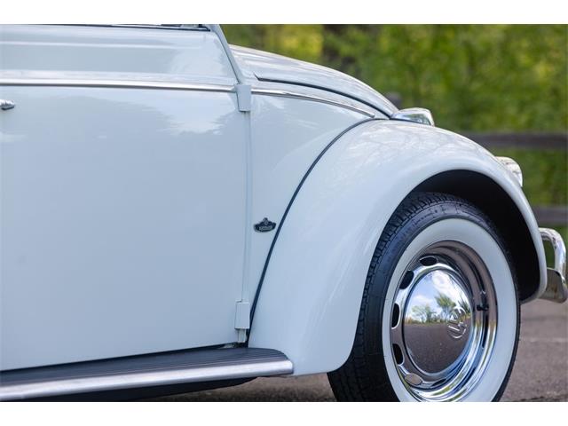 1965 Volkswagen Beetle (CC-2071824) for sale in Sioux Falls, South Dakota