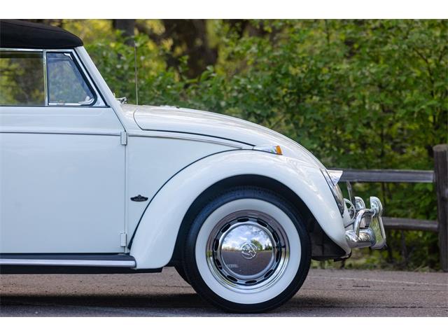 1965 Volkswagen Beetle (CC-2071824) for sale in Sioux Falls, South Dakota