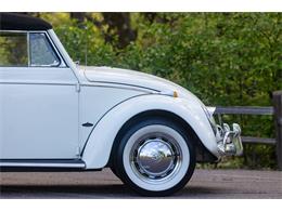 1965 Volkswagen Beetle (CC-2071824) for sale in Sioux Falls, South Dakota