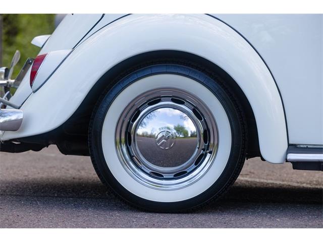 1965 Volkswagen Beetle (CC-2071824) for sale in Sioux Falls, South Dakota
